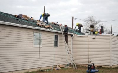 Shed Roofing